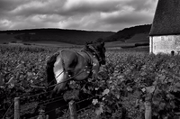 2012-Barcelona (135)