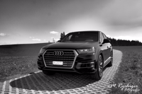 DSC_1370 -1mitLogo-sw