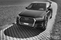 DSC_1373 -1mitLogo-sw