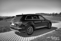 DSC_1379 -1mitLogo-sw