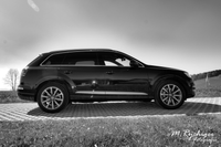 DSC_1381 -1mitLogo-sw