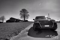 DSC_1416 -1mitLogo-sw