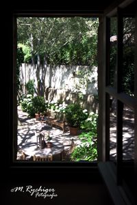 2016-MasOleandreFrance (1)