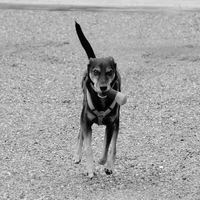 DSCF0474-Bearbeitet-MR1