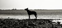 20240906_155555b